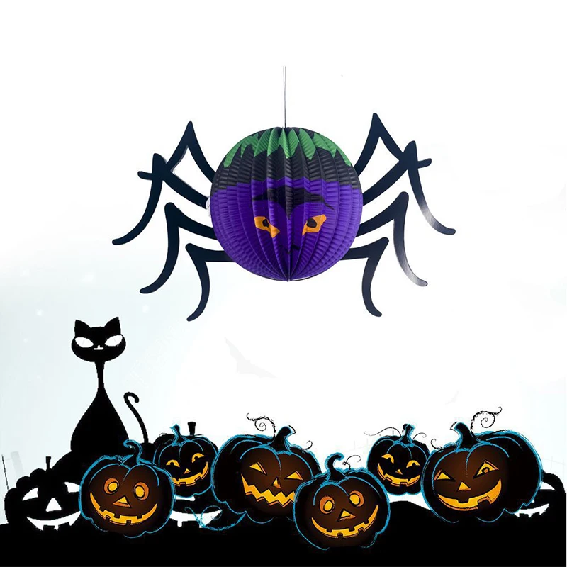 spider ali