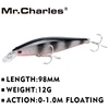 Mr.Charles CMC013 leurre De pêche 98mm/12g 0-1.0 m appâts durs flottants ► Photo 1/6
