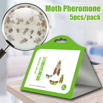 

5 Pack/Set Attractant Moth Trap Pantry Kitchen Anti Moth Traps can CSV