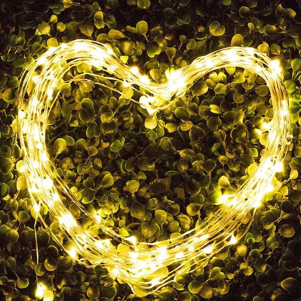 Remote Control Dimmable USB Led String Lights 10m 100 leds 5V 33FT Copper Wire Warm White/RGB wedding party decoration Lighting