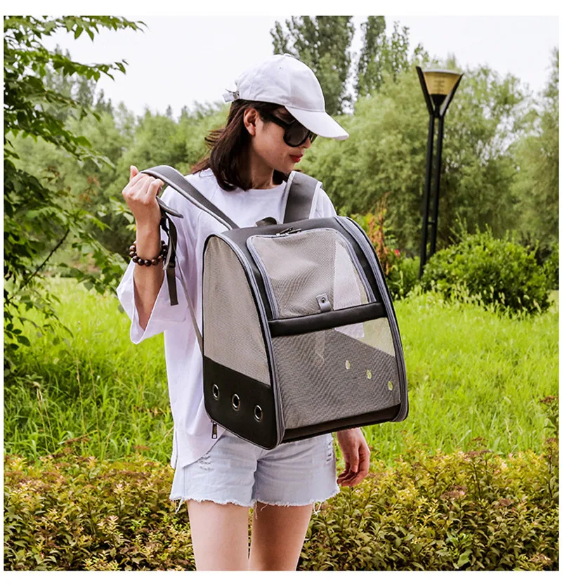 11616436321_299322169