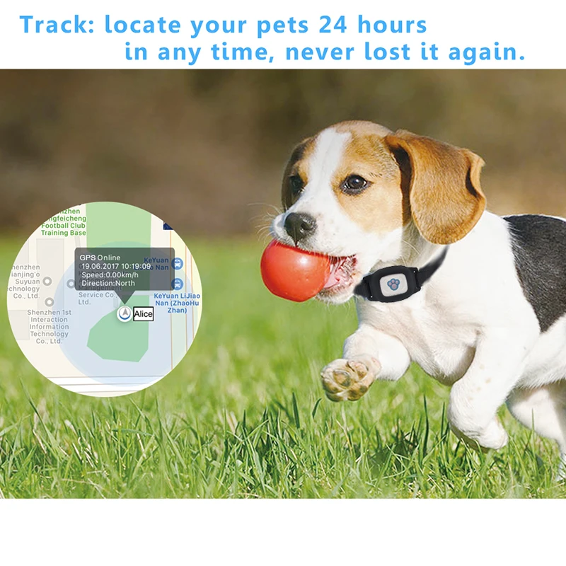 

Pet Smart Mini GPS Tracker With Dog Collar Anti-Lost Tracer For Pet Dogs Cats Locator GPS Tracking Locating Device