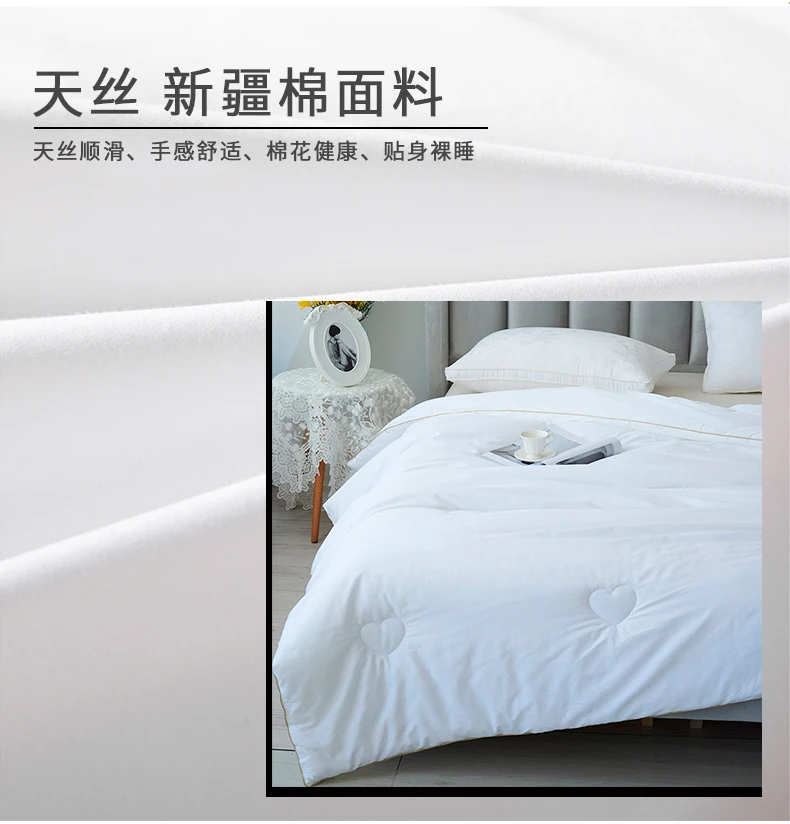 Twenty-one Home Textiles Day Silk Floss Autumn Quilt Coupe Quilt Velvet Fiber Cover Is Thin Core Hotel