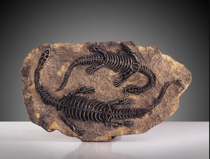 

resin statue Wall Hanging model craft Antique Retro Dinosaur skeleton fossil sculpture bar office home Decoration p0810