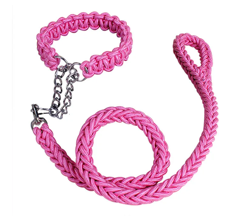 dog leash for pitbull