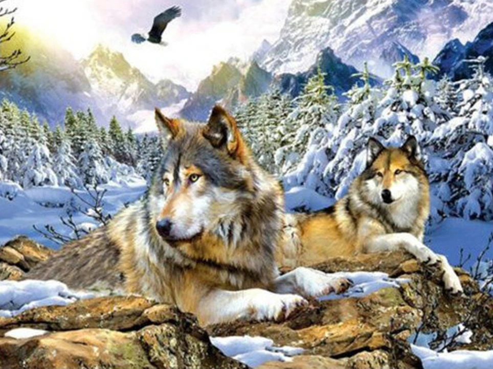 Evershine Алмазная картина животное вышивка крестиком Алмазная вышивка волк полная дрель дисплей Алмазная мозаика комплект Зимний пейзаж Искусство - Цвет: 6902
