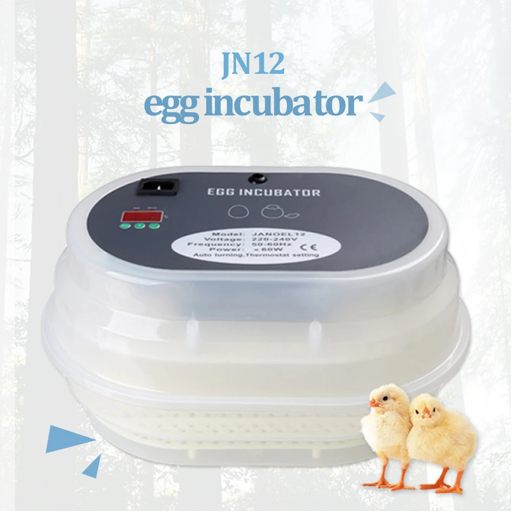 

Digital Clear 12 Egg Incubator Automatic Egg Turning Poultry Hatching Temperature Control Family Use Transparent Easy to Observe