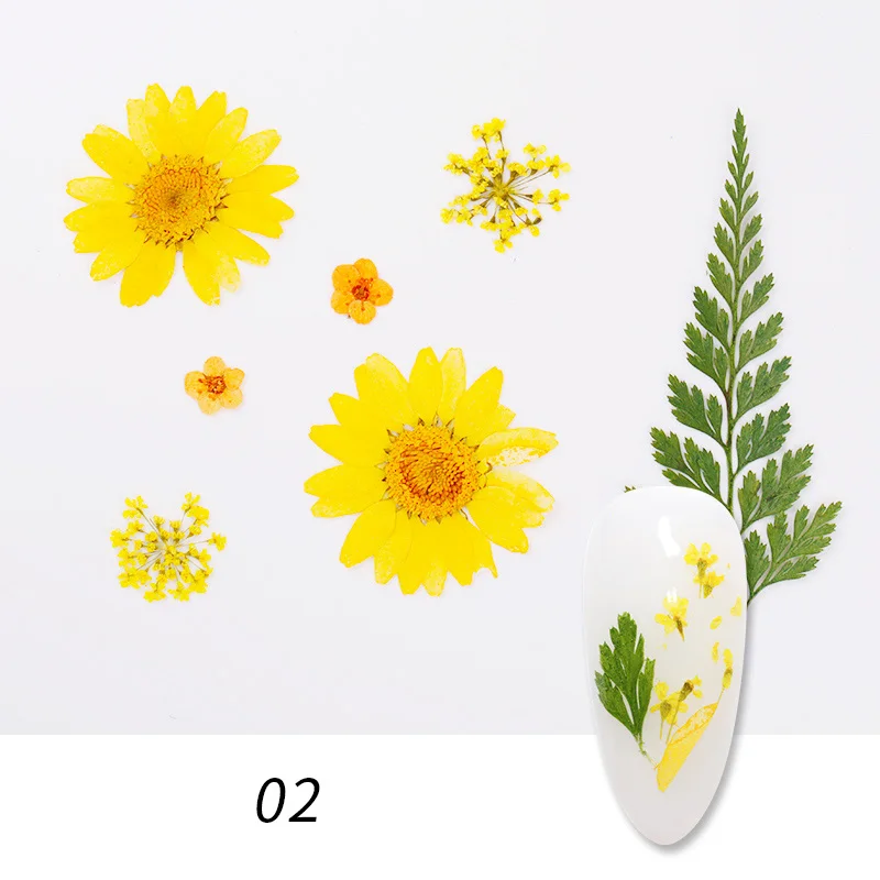1 коробка для ногтей 3D украшение DIY микс сушеных цветов прекрасные пять лепестков наклейки для ногтей цветы для маникюра украшения для ногтей красота - Цвет: 02(1bag)