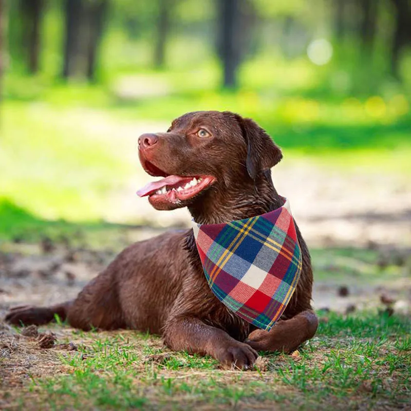 61RvOzfnjvL._AC_SL1002_