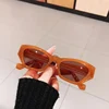 SO&EI Fashion Small Cat Eye Women Sunglasses Vintage Jelly Tea Eyewear Men Trending Black Light Gray Sun Glasses Shades UV400 ► Photo 1/6