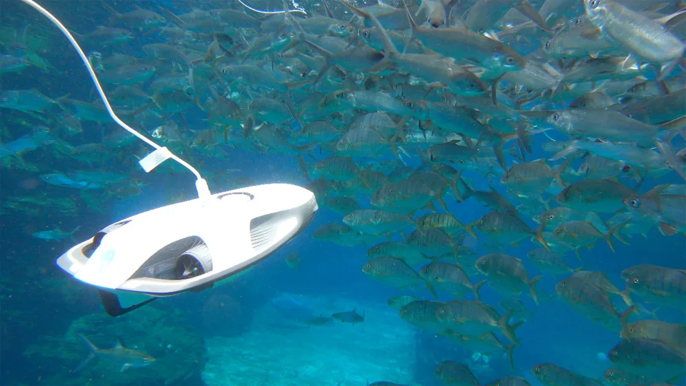 PowerRay Rc Boat (6)