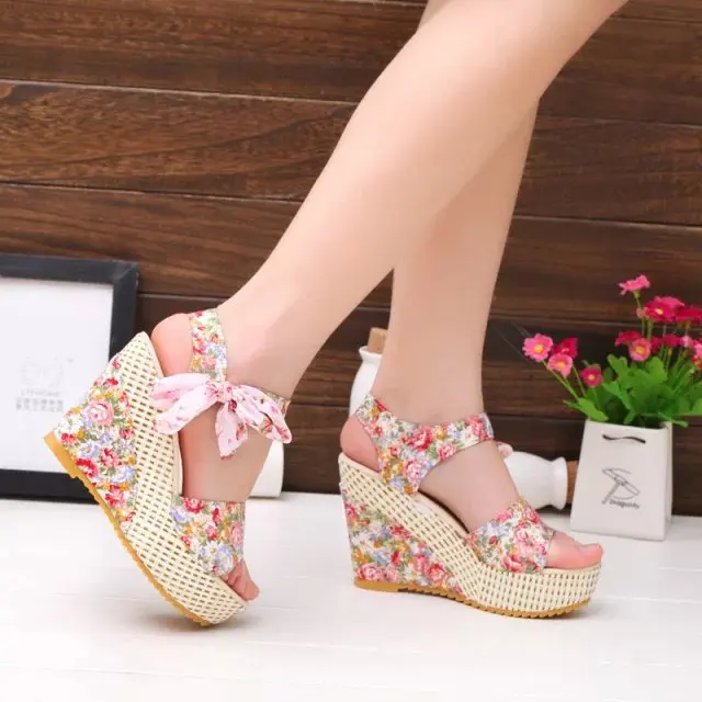 2185176102_1554266529