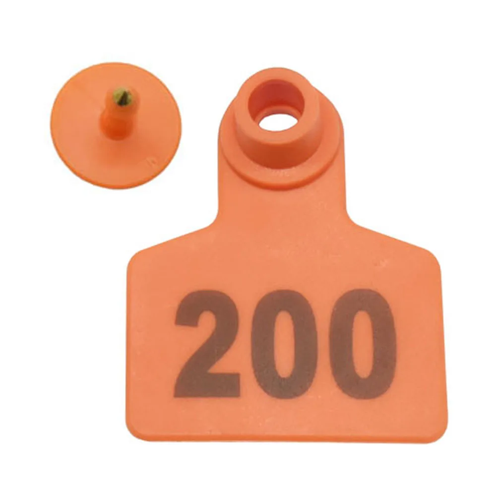 DSC_5544 - 副本 (4)