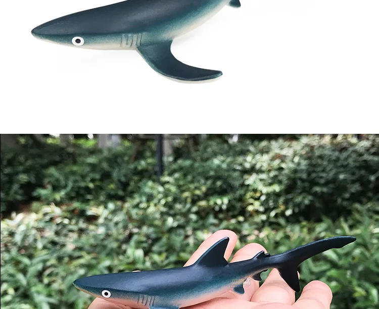 Акула Модель океанов большой маленький Zebrafish игрушка модель Акула голубая акула Megalodon мужская акула имеет акулу КИТ акула