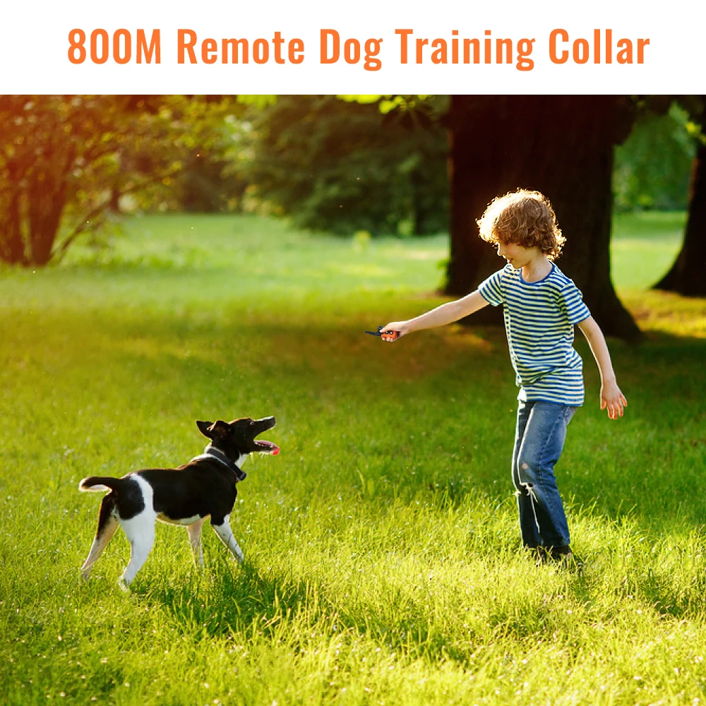 Тренажер Petrainer 619A 2 800 м перезаряжаемый и водонепроницаемый тренировочный