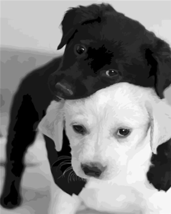 Картина из страз Love.Thank Animal картина &quotАлмаз&quot Dog 5D Новые поступления вышивка