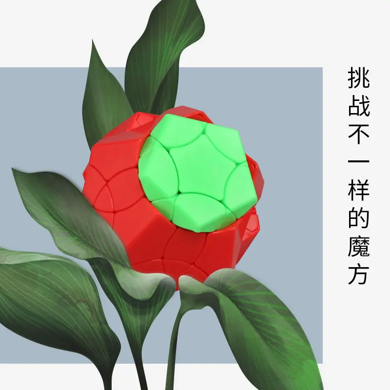 Original High Quality ShengShou 3x3x3 Megaminxeds Magic Cube SengSo Phoenix Bird 3x3 Dodecahedron Puzzle Toys Christmas Gift