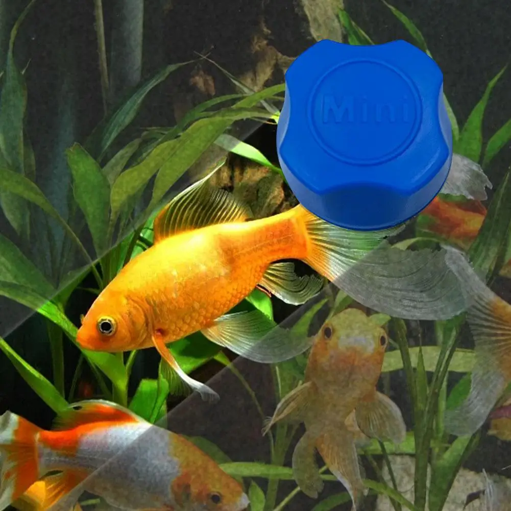 Fish Tank Aquatic Algae Cleaning Tool Brush Magnet Scraper with Floating Design for Tank Under 60 Gallon S//M//L Bestgle Aquarium Glass Magnetic Scrubber Cleaner