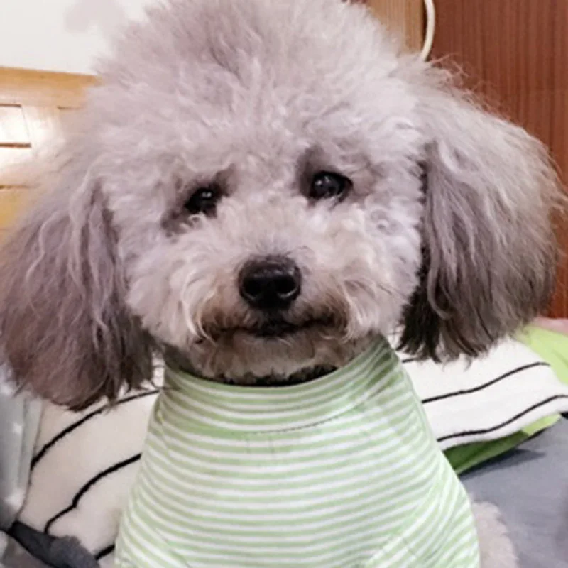 Футболка для питомцев; сезон весна-лето; Одежда для собак Teddy Bomi Beagle; Одежда для собак; XS~ L