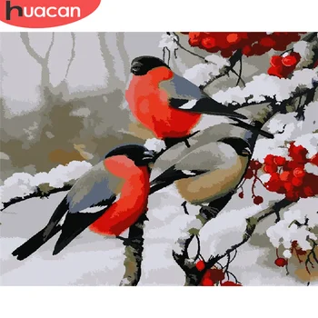

HUACAN DIY Pictures By Number Bird Kits Drawing On Canvas Painting By Numbers Animal Hand Painted Picture Art Gift Home Decor
