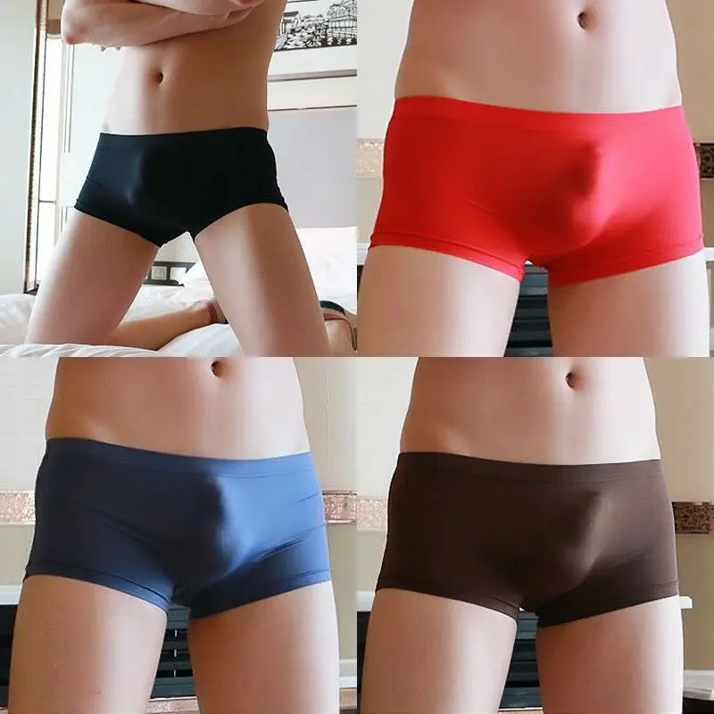 

Men's Sheer See Through Boxer Briefs Mesh Underwear Shorts Trunks Underpants US