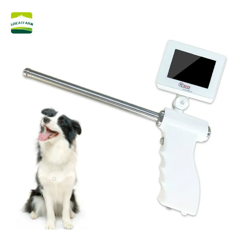 DOG Artificial Insemination AI gun Visual Endoscope Sperm Gun Veterinarians Dog Vlinic TOOLS 2021 HOT SALES | Дом и сад