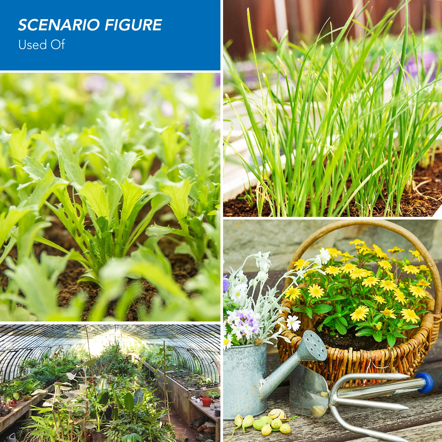 Рисунок 6 - Светодиодная фитолампа GU10 для гидропонных систем