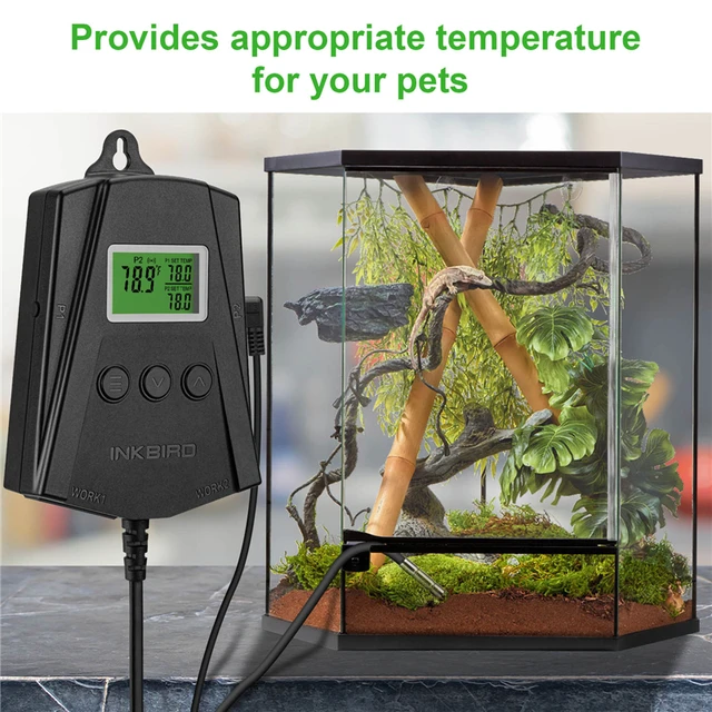 Inkbird Wifi Temperature Controller Digital Thermostat For Heated Mat Heater  For Terrarium Amphibians Reptiles Turtles Accessory - Temperature Control  Products - AliExpress