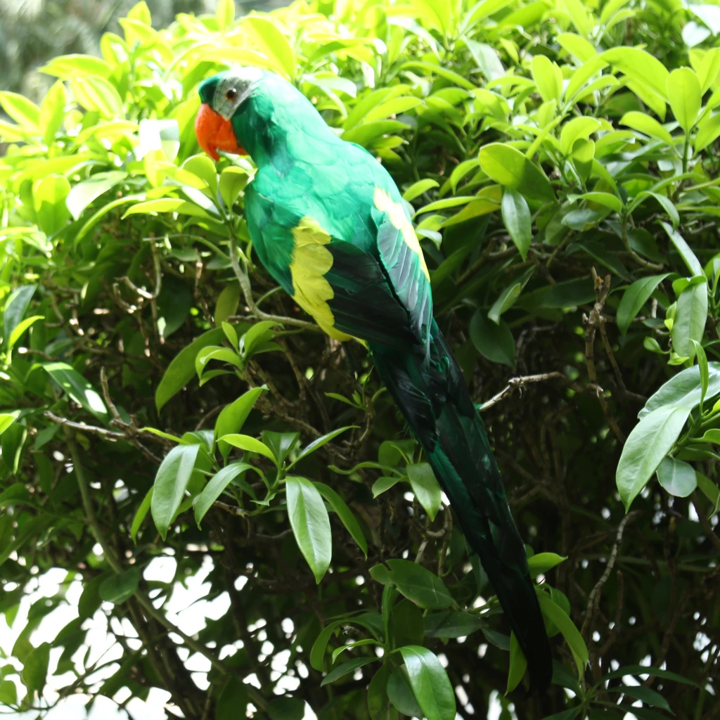 Artificial Feather Bird Large Parrot Ornament Bird Home Art Decor, Perfect prop for home, garden, yard, shop window