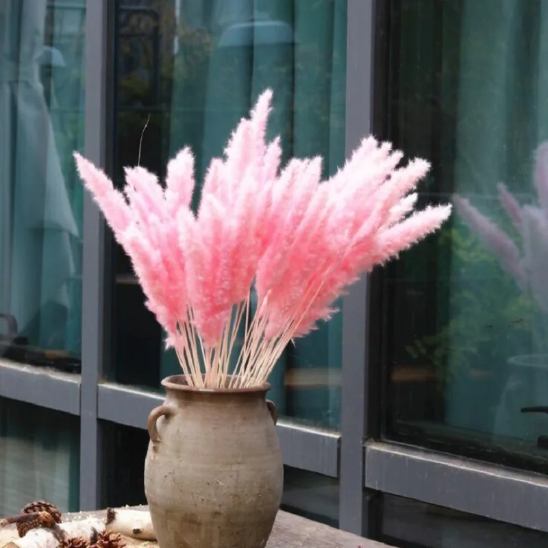 1 Набор/15 шт. натуральные маленькие пампасы, сушеные травы, фрагмиты, украшения для дома, отеля, свадьбы, букет цветов