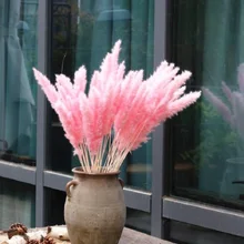 1 Набор/15 шт. натуральные маленькие пампасы, сушеные травы, фрагмиты, украшения для дома, отеля, свадьбы, букет цветов