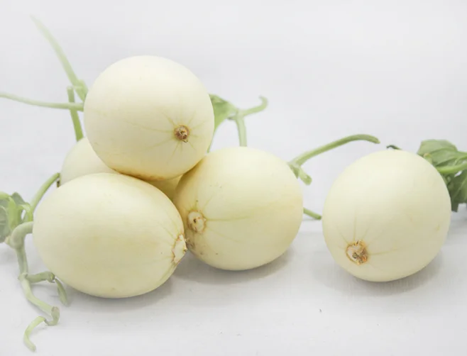 Горячая распродажа! супер большая Сладкая Дыня Cucumis Дыня бонсай канталупа гигантская Дыня редкая реликвия суккулентные растения сладкие быстрорастущие - Цвет: 10
