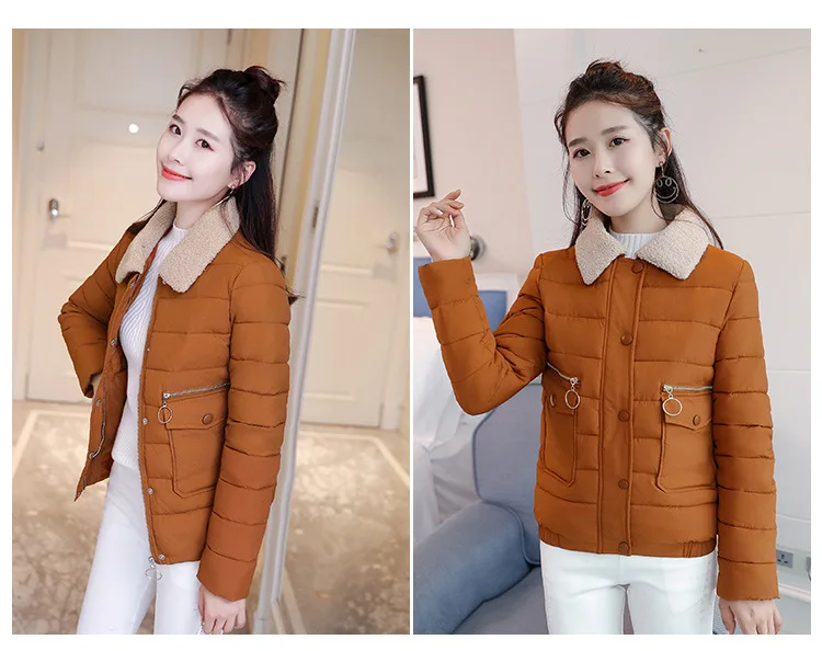 Cotton_26.jpg