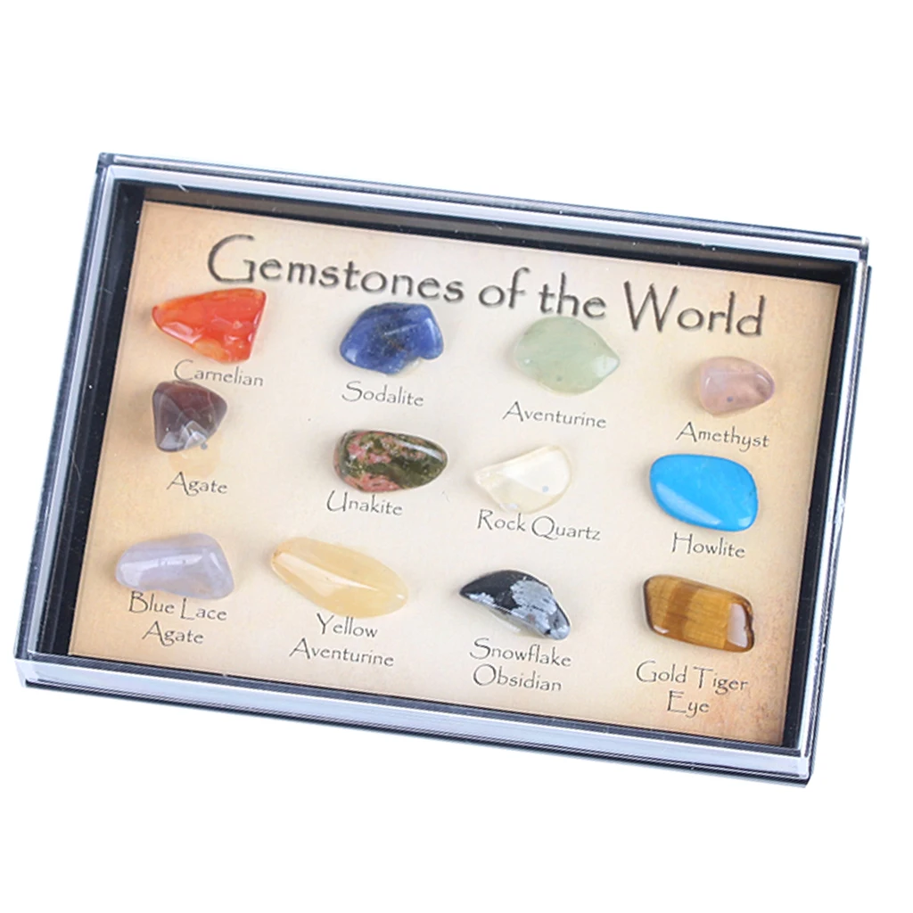 Kids Earth Science Toy Ro & Mineral Collection (15pcs) In A Display Case