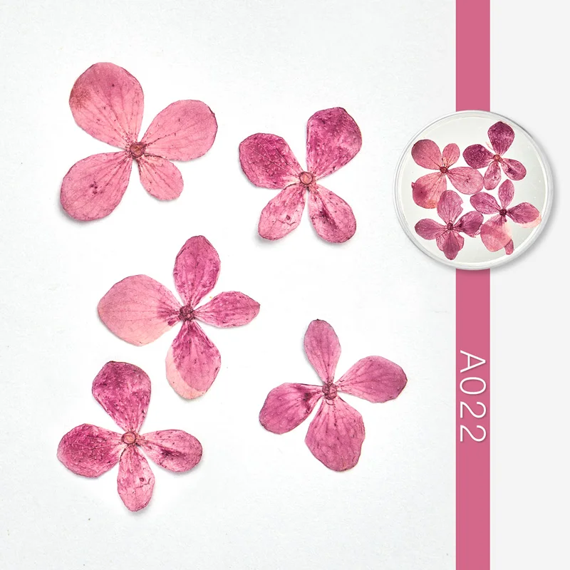 Дизайн ногтей, сухие цветы, украшение для ногтей, сушеные цветы, 3D Маникюр, лак для лета, настоящие консервированные Цветочные листья, смешанные сухие цветущие кончики - Цвет: AS09194