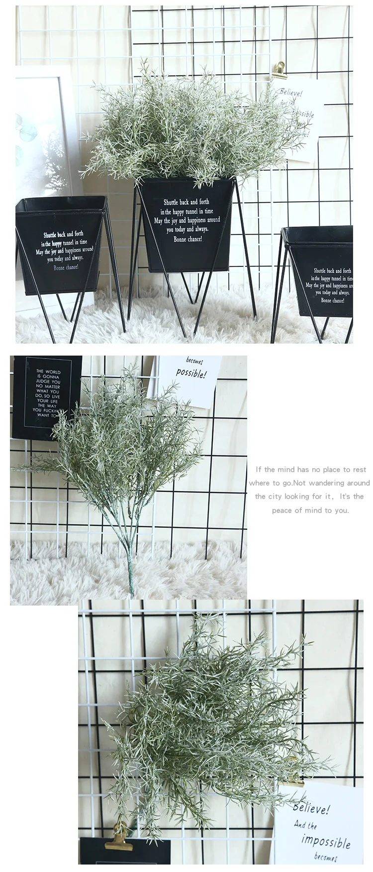 11122524574_1245478559