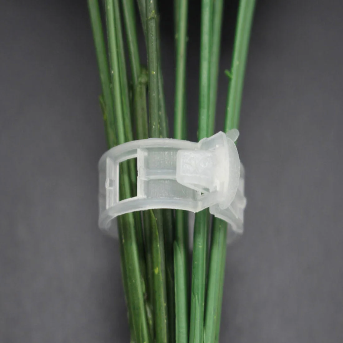 Reusable Plastic Plant Support Clips 50pcs For Types Plants Hanging Vine Garden Greenhouse Vegetables Tomatoes Clips