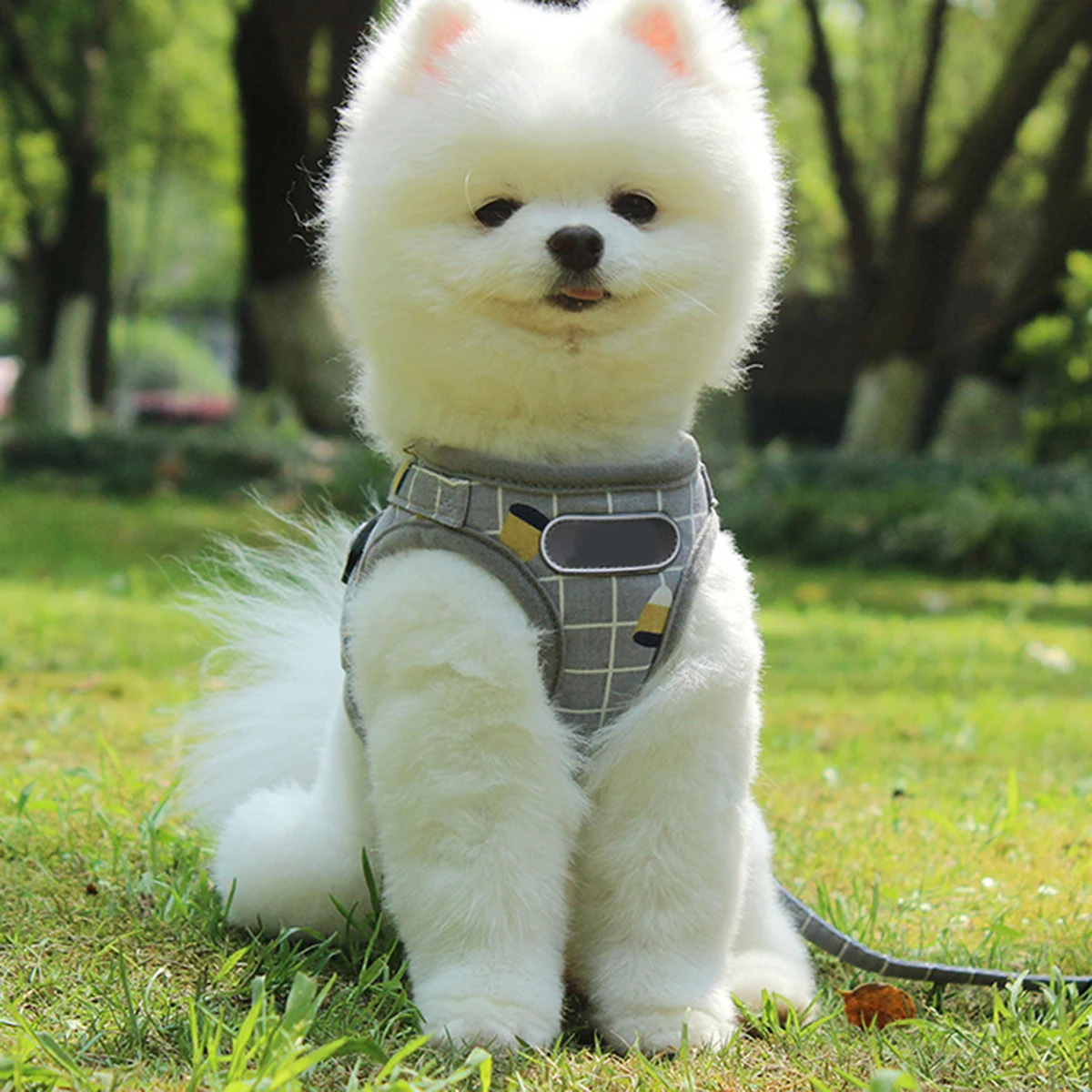 Pet Dog прогулочная шлейка дышащий прогулочный жилет ремень для маленький щенок плюшевый Светоотражающий Поводок для прогулок наборы