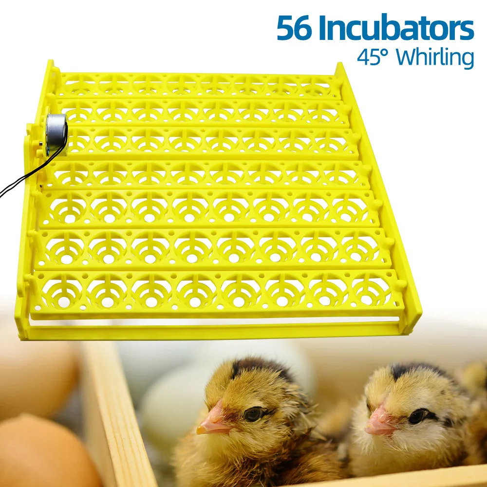 Automatic Egg Incubator Capacity 56-154