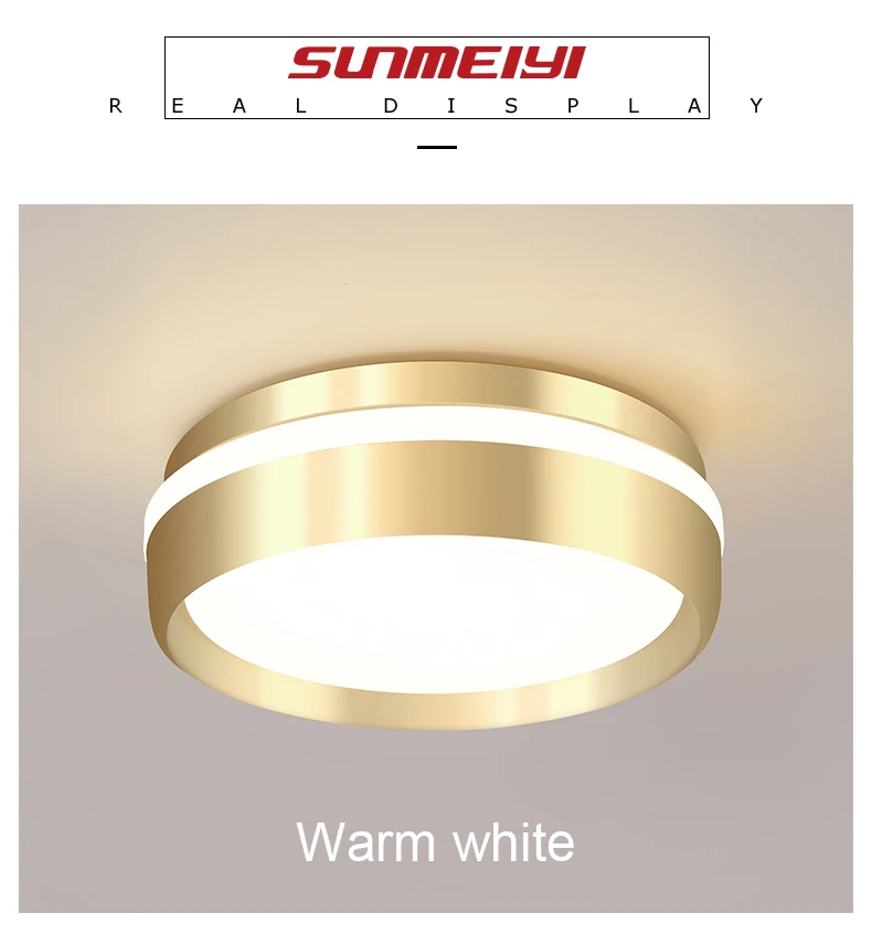 Modern Led Ceiling Lights For Living room Hallway Kitchen Bedroom decor Nordic Industrial Bar Corridor Lamp Indoor plafondlamp