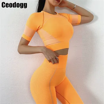 

Summer Seamless 2 Pcs Workout Short Sleeve Outfit Sports Crop Top Leggings Yoga Shorts Women Gym Tracksuit Athletic Yoga Set