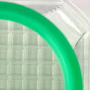 

5 Pcs Transparent Insect Breeding Box with Triple Magnifying Glass Portable