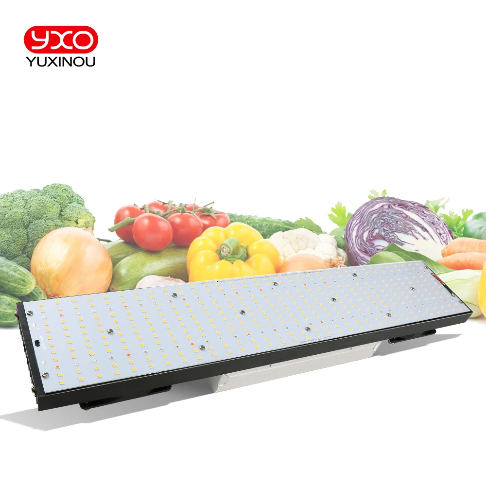 Sam-sungLM301H LED 성장 조명 V3 보드, Meanwell 드라이버 포함, 240W, 480W, 720W, 3000K, 3500K, 660nm UV IR 성장 상자, 식물 채식 꽃