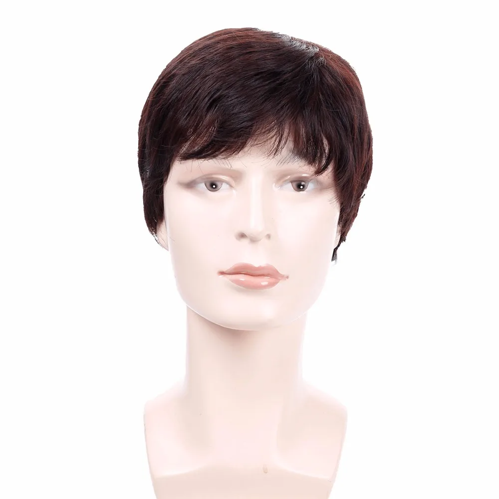 Allaosify Synthetic Short Straight Wigs for Men Natural Hair Pieces Men's Wigs Heat Resistant Fake Hair Wigs for Black Women#4