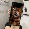 Mobile Phone Accessories