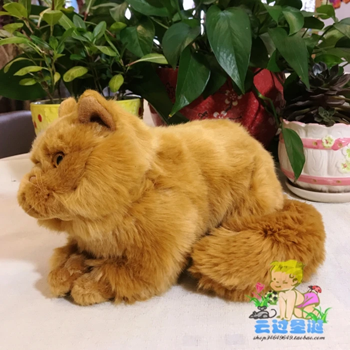 Мягкие игрушки подарок персидский кот чучело настоящая жизнь плюшевые игрушки подарок на день рождения куклы женские