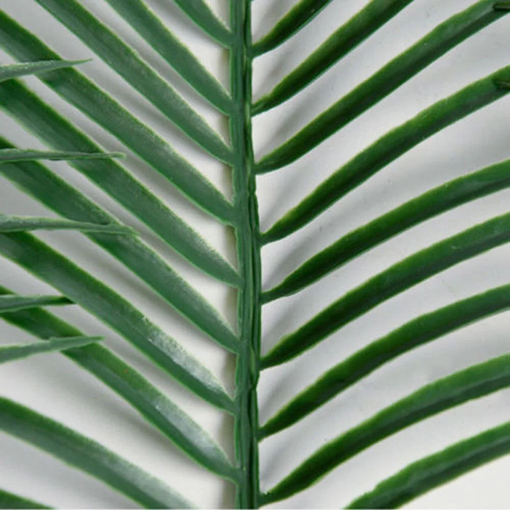 как называются листья пальмы. тропические листья названия. ливистона ротундифолия. ветка пальмы цикас. лист пальмы название.