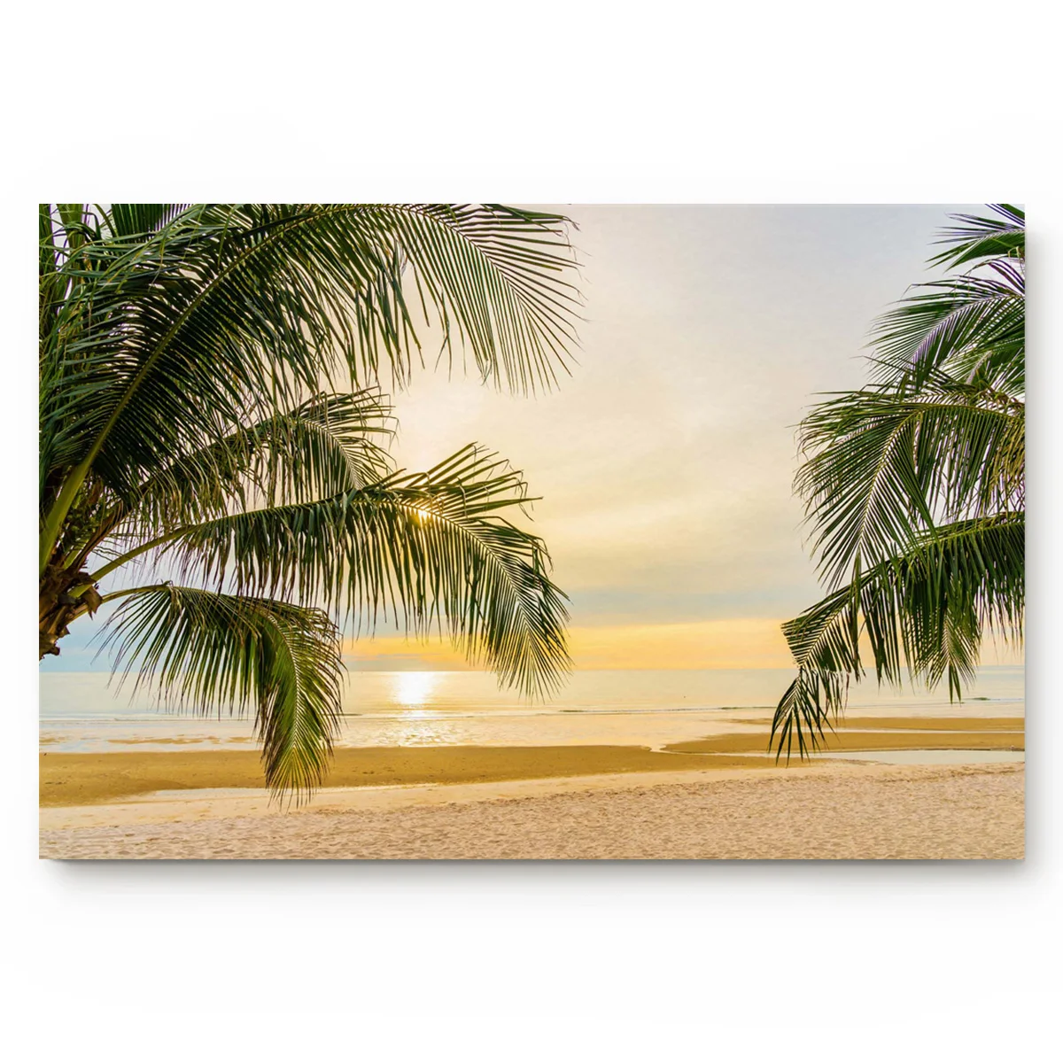 Summer Beach Palm Trees Living Room Doormat Home Environmental Protection Bathroom Door Non-slip Floor Mat | Дом и сад