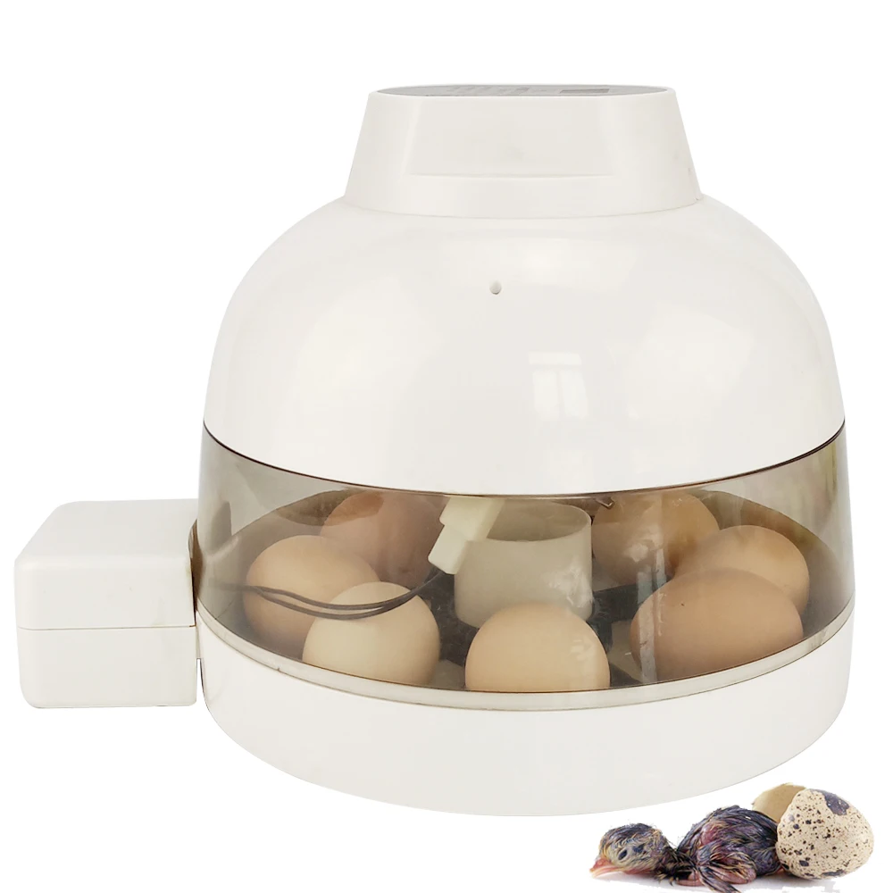 

Automatic 10 Eggs Incubator Digital Temperature Control Incubator Chicken Duck Quail Birds Poultry Turning Hatcher