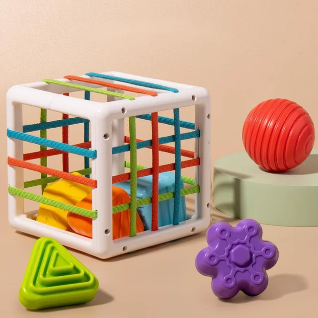 GoDream Kids Store - Tactile Sorting Games For Motor Coordination